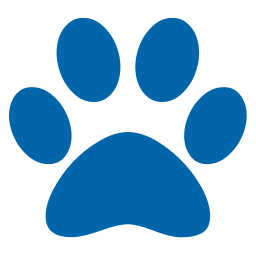 Kartennummer & Kartenprüfziffern